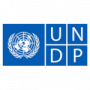 Logo UNDP